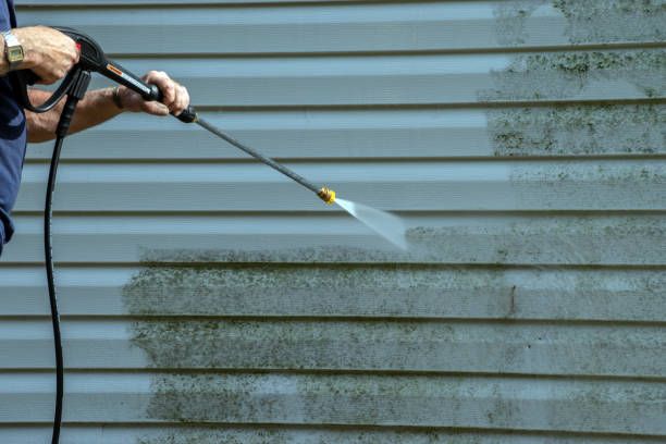 Best Building Exterior Washing  in Brownstown, PA